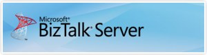 Microsoft BizTalk Server logotype